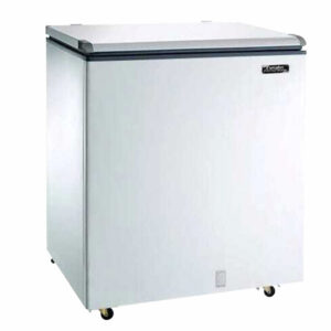 Freezer Horizontal ECH250
